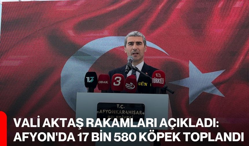 Vali Aktaş Rakamları Açıkladı: Afyon'da 17 Bin 580 Köpek Toplandı