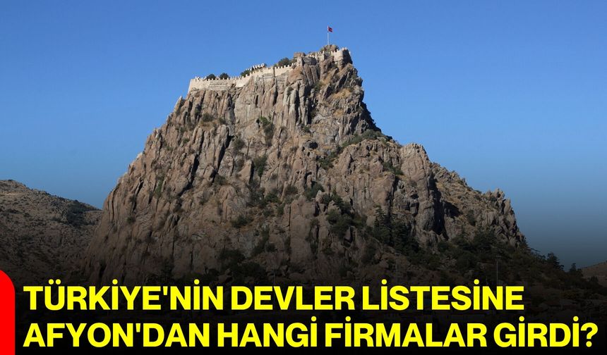 Türkiye'nin devler listesine Afyon'dan hangi firmalar girdi?