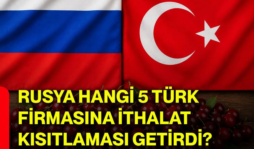 Rusya hangi 5 Türk firmasına ithalat kısıtlaması getirdi?