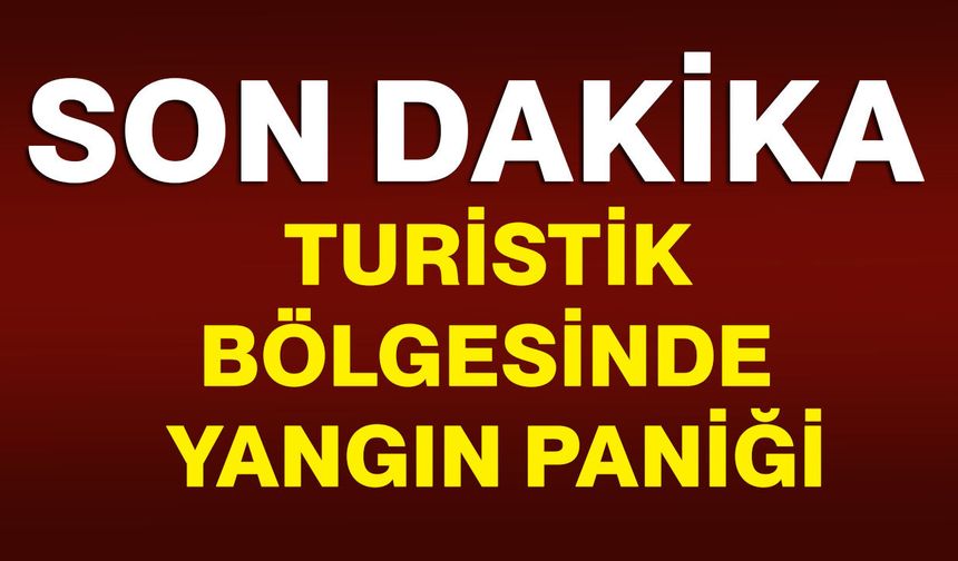Turistik bölgesinde yangın paniği