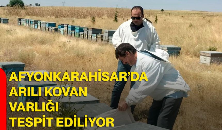 Afyonkarahisar’da arılı kovan varlığı tespit ediliyor
