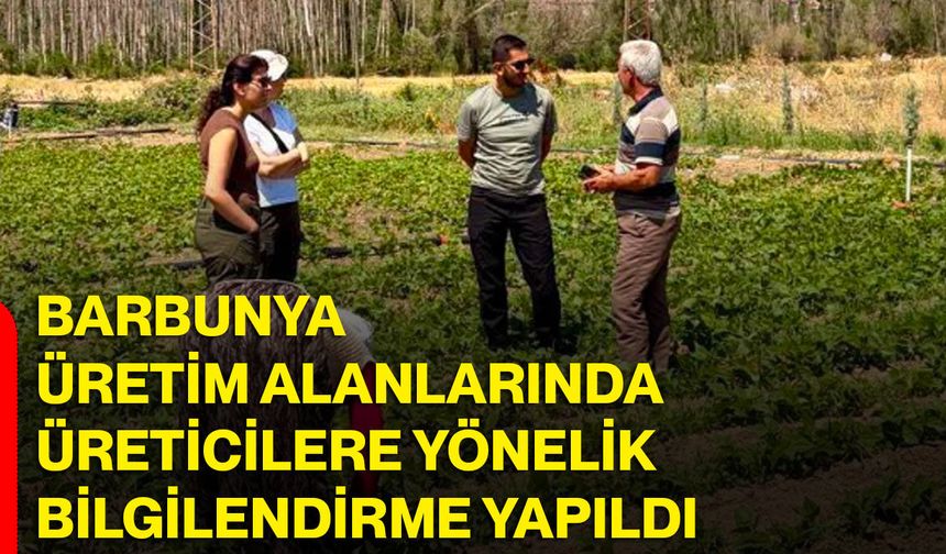 Barbunya üretim alanlarında üreticilere yönelik bilgilendirme yapıldı