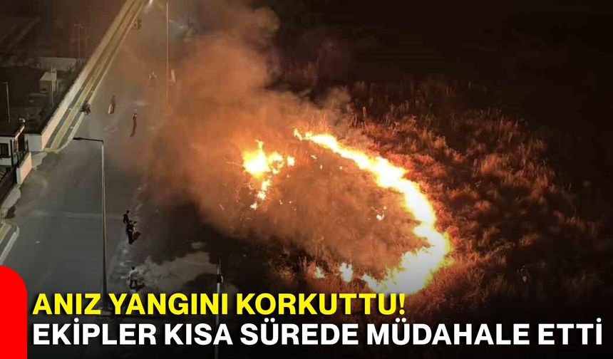Anız yangını korkuttu! Ekipler kısa sürede müdahale etti