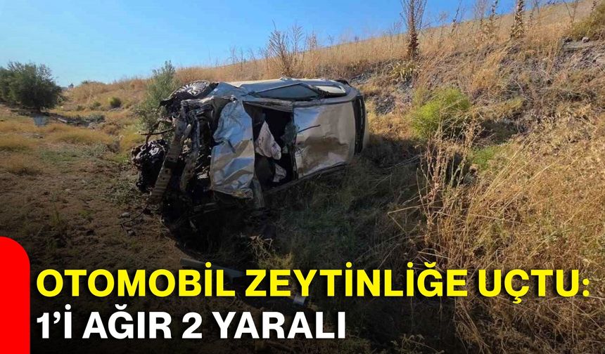 Otomobil zeytinliğe uçtu: 1’i ağır 2 yaralı