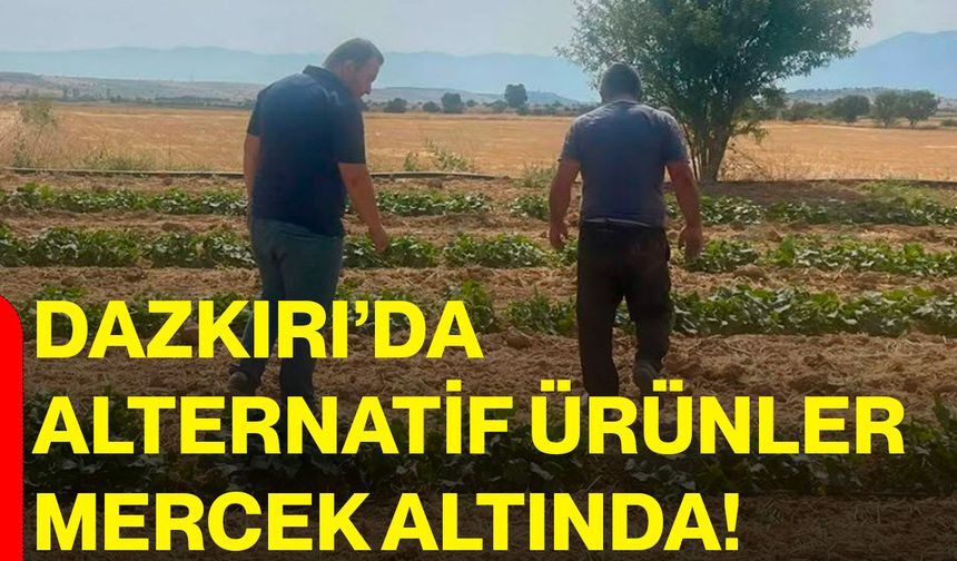 Dazkırı’da alternatif ürünler mercek altında!