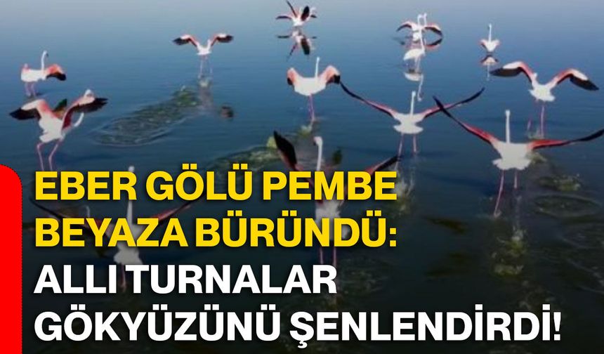 Eber Gölü pembe beyaza büründü: Allı turnalar gökyüzünü şenlendirdi!