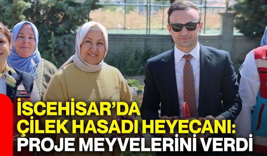 İscehisar’da çilek hasadı heyecanı: Proje meyvelerini verdi