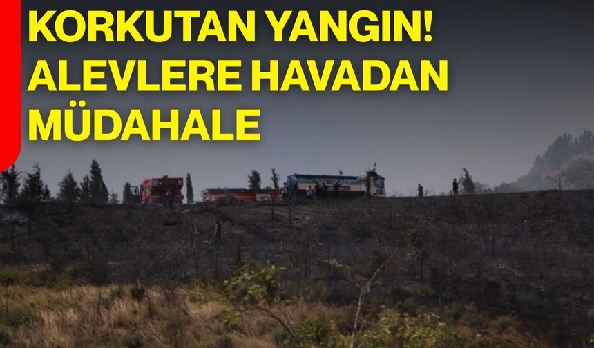 Korkutan yangın! Alevlere havadan müdahale