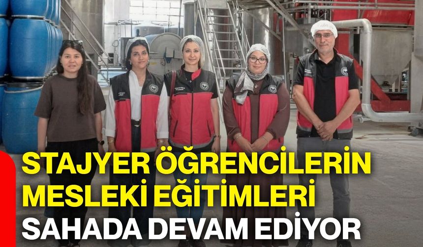 Stajyer öğrencilerin mesleki eğitimleri sahada devam ediyor