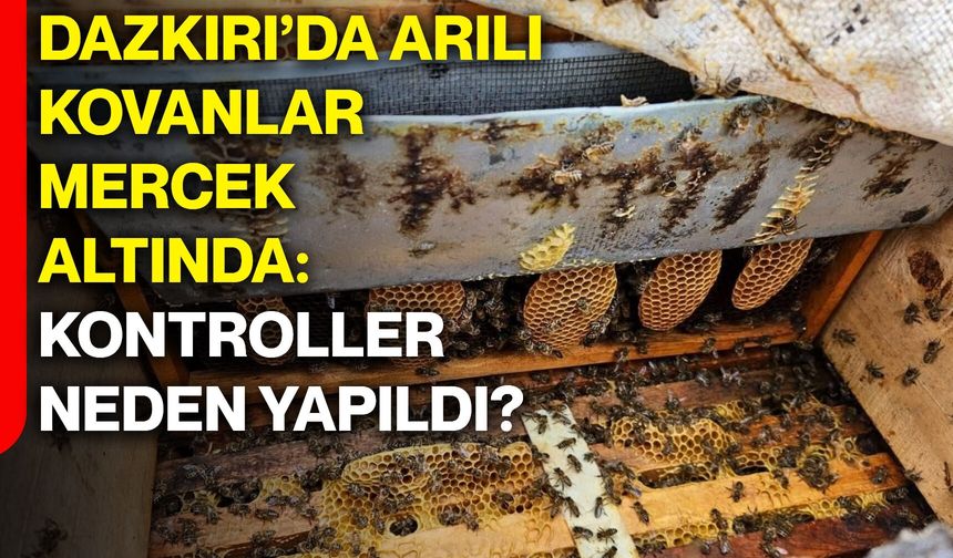 Dazkırı’da arılı kovanlar mercek altında: Kontroller neden yapıldı?