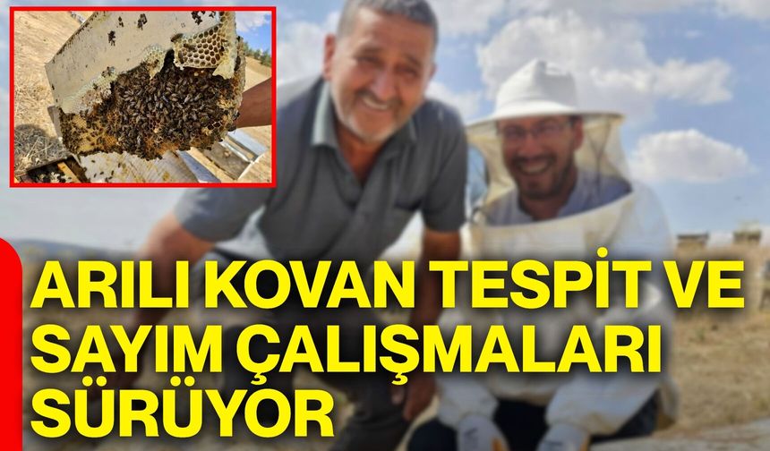 Arılı kovan tespit ve sayım çalışmaları sürüyor