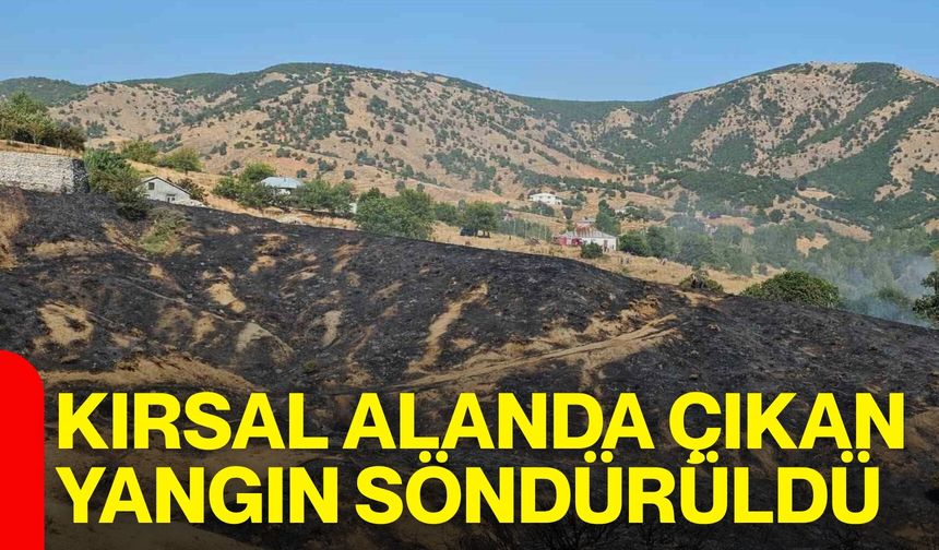 Kırsal alanda çıkan yangın söndürüldü
