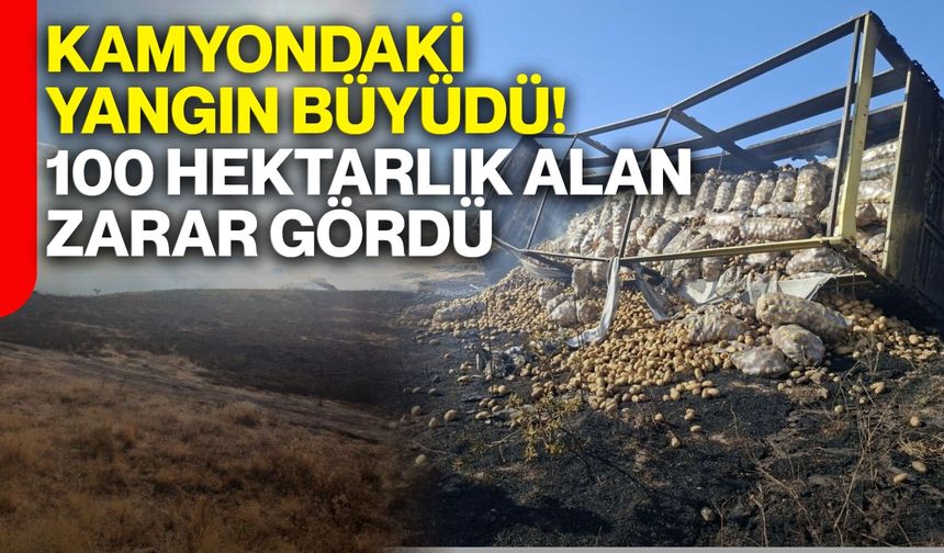 Kamyondaki yangın büyüdü! 100 hektarlık alan zarar gördü