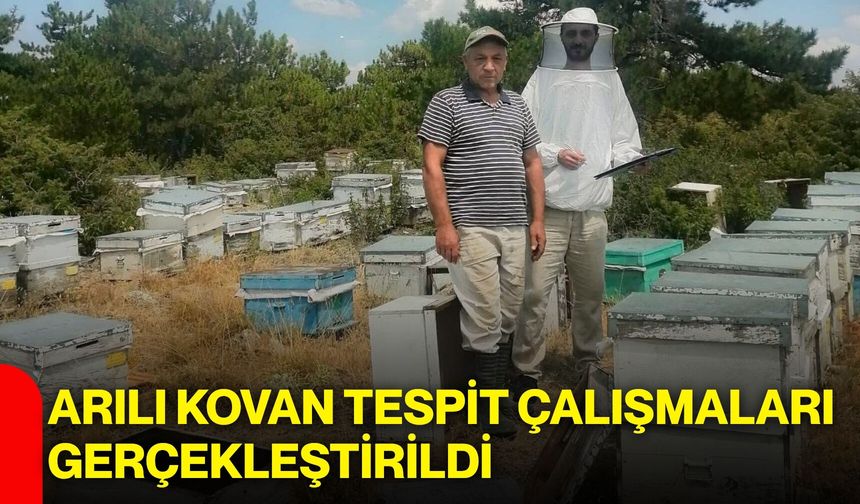 Arılı kovan tespit çalışmaları gerçekleştirildi