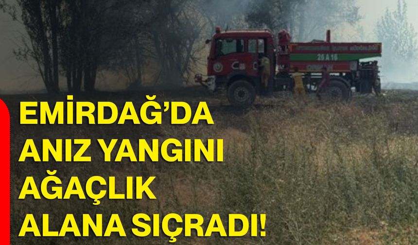 Emirdağ’da anız yangını ağaçlık alana sıçradı!