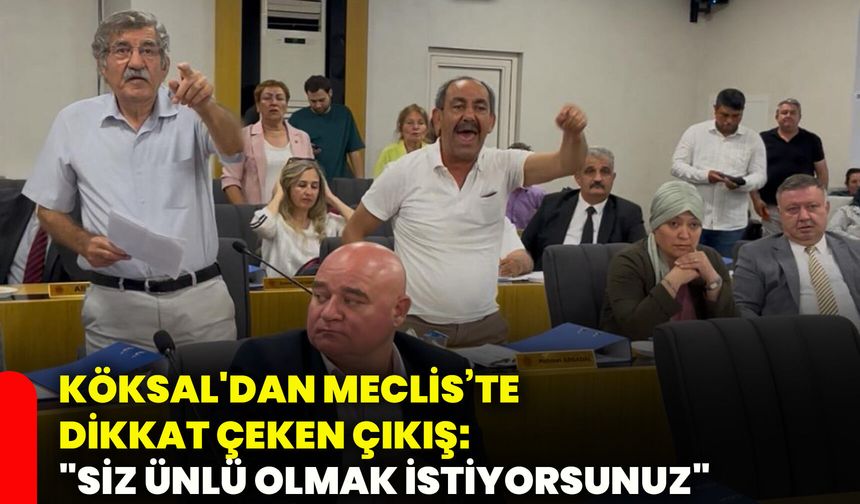 Köksal'dan Meclis’te dikkat çeken çıkış: "Siz ünlü olmak istiyorsunuz"