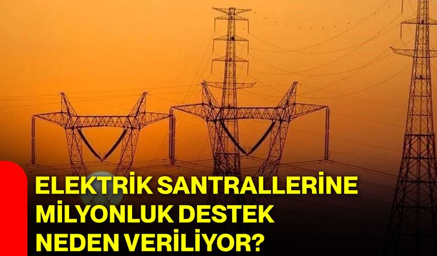 Elektrik santrallerine milyonluk destek neden veriliyor?