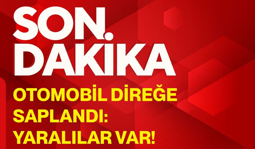 Otomobil direğe saplandı: Yaralılar var!