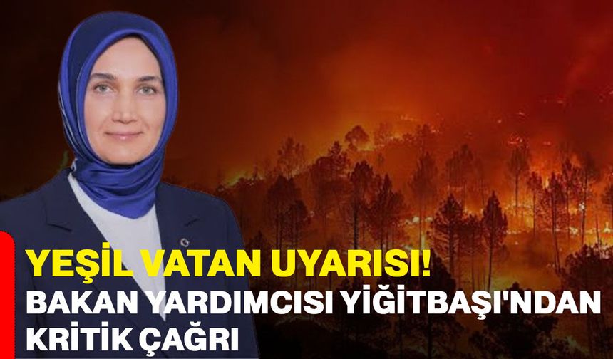 Yeşil Vatan uyarısı! Bakan Yardımcısı Yiğitbaşı'ndan kritik çağrı