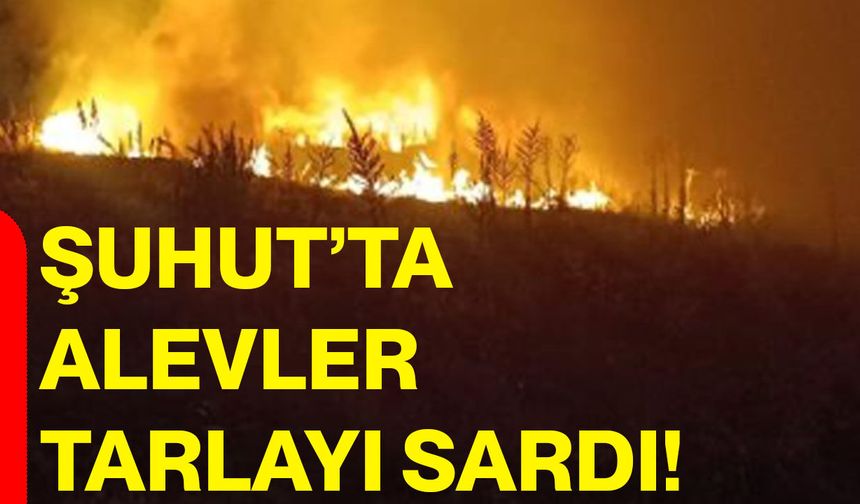 Şuhut’ta alevler tarlayı sardı!