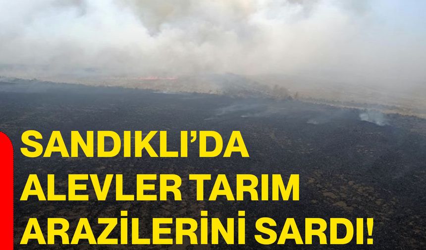 Sandıklı’da alevler tarım arazilerini sardı!
