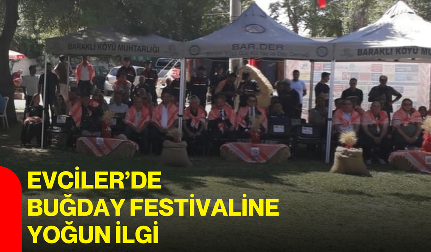 Evciler’de Buğday Festivaline yoğun ilgi