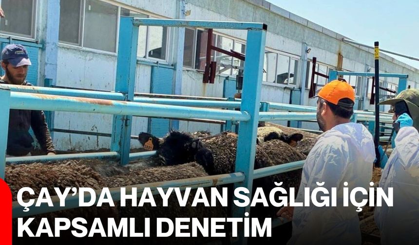 Çay’da hayvan sağlığı için kapsamlı denetim