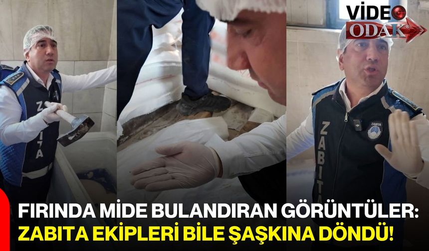 Fırında mide bulandıran görüntüler: Zabıta ekipleri bile şaşkına döndü!