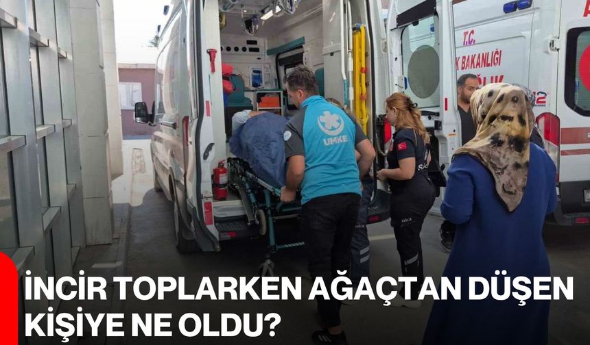 İncir toplarken ağaçtan düşen kişiye ne oldu?