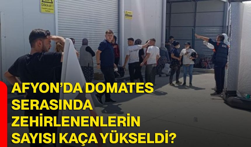 Afyon’da domates serasında zehirlenenlerin sayısı kaça yükseldi?