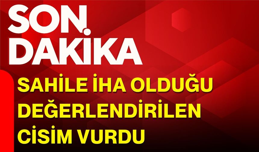 Sahile İHA olduğu değerlendirilen cisim vurdu