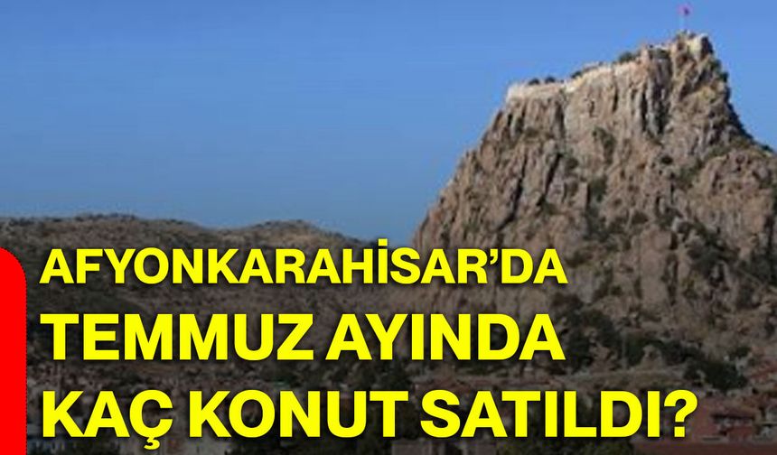 Afyonkarahisar’da Temmuz ayında kaç konut satıldı?