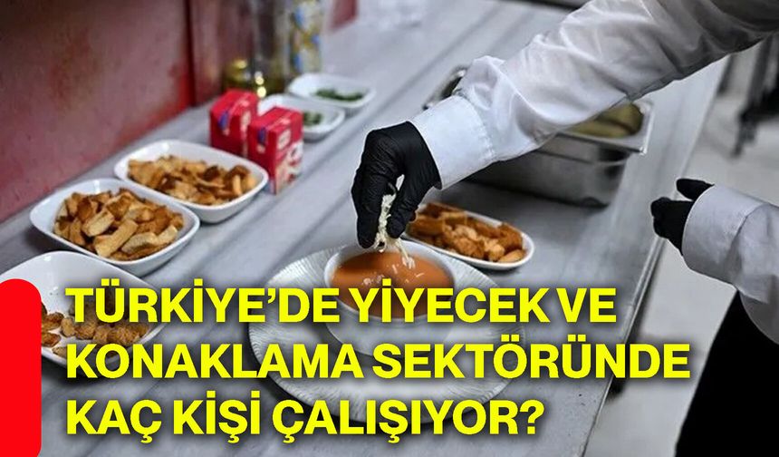 Türkiye’de yiyecek ve konaklama sektöründe kaç kişi çalışıyor?