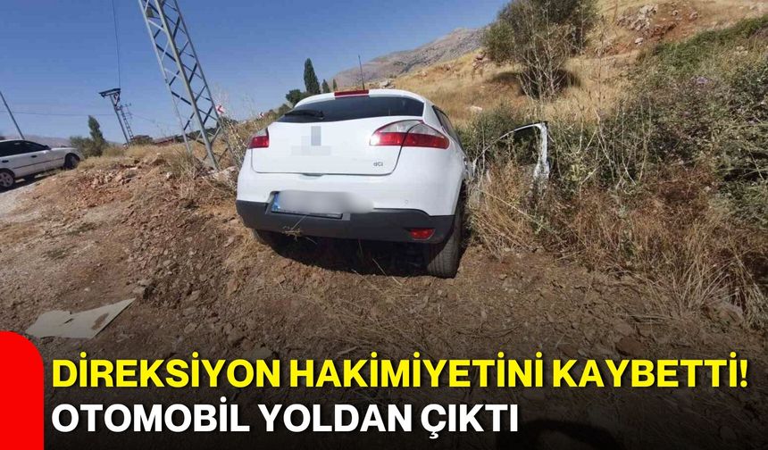 Direksiyon hakimiyetini kaybetti! Otomobil yoldan çıktı