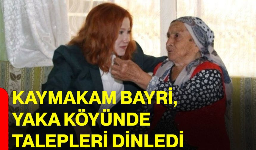 Kaymakam Bayri, Yaka köyünde talepleri dinledi