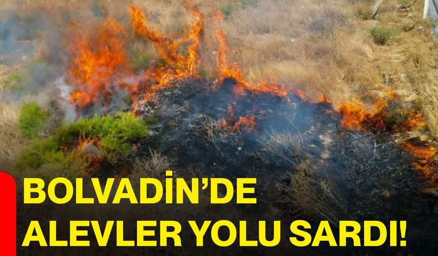 Bolvadin’de alevler yolu sardı!