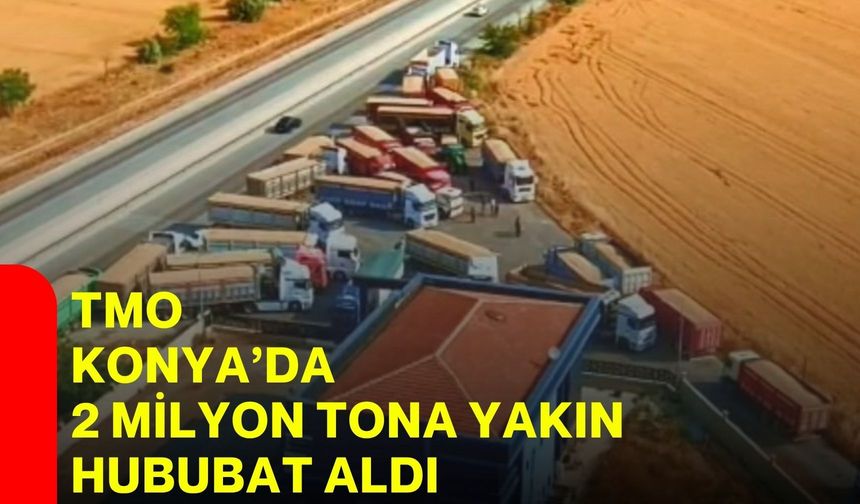 TMO Konya’da 2 milyon tona yakın hububat aldı