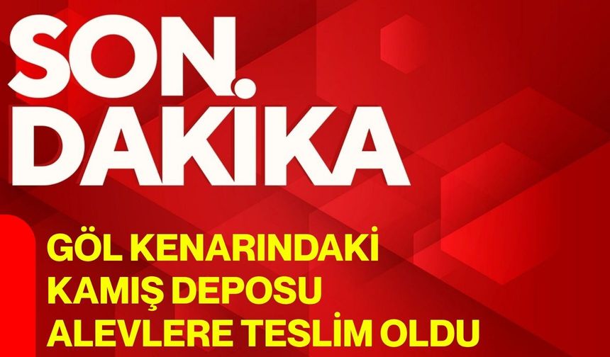 Göl kenarındaki kamış deposu alevlere teslim oldu