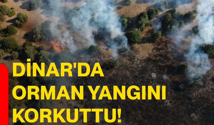Dinar'da orman yangını korkuttu!