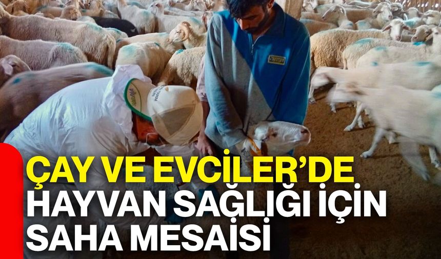 Çay ve Evciler’de hayvan sağlığı için saha mesaisi
