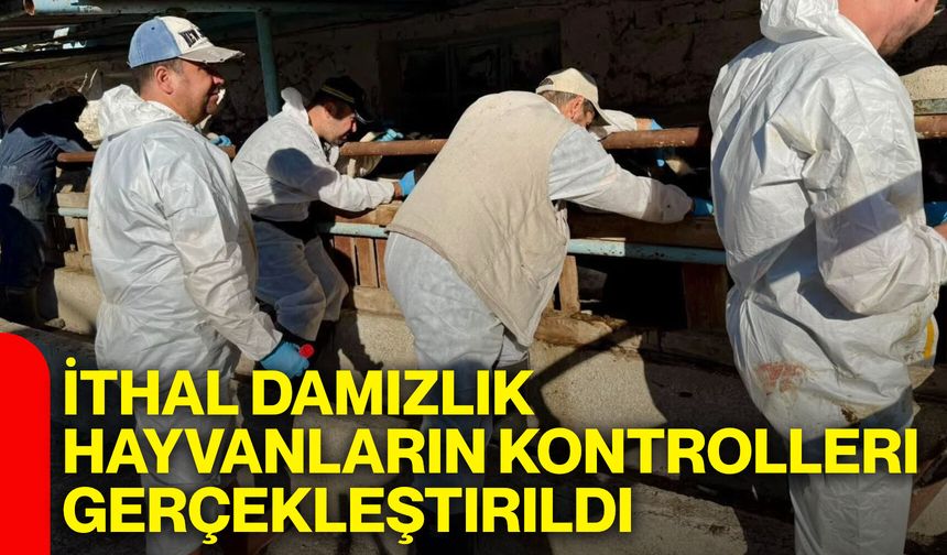 İthal damızlık hayvanların kontrolleri gerçekleştirildi