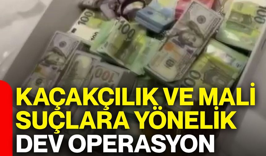 Kaçakçılık ve mali suçlara yönelik dev operasyon