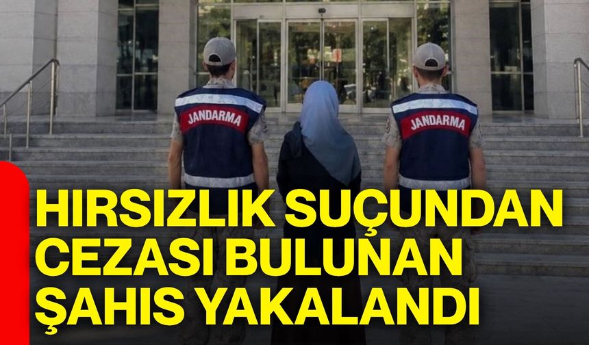 Hırsızlık suçundan cezası bulunan şahıs yakalandı