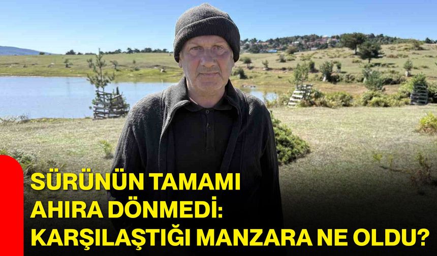 Sürünün tamamı ahıra dönmedi: Karşılaştığı manzara ne oldu?