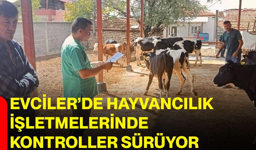 Evciler’de hayvancılık işletmelerinde kontroller sürüyor