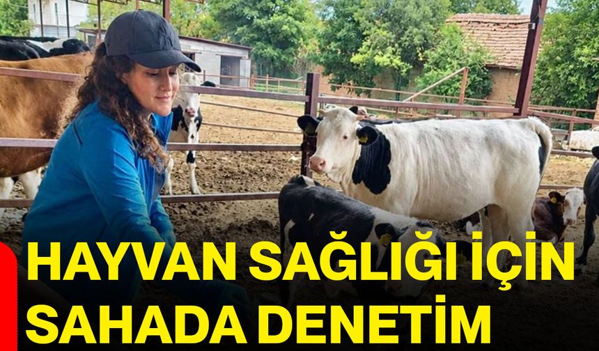 Hayvan sağlığı için sahada denetim