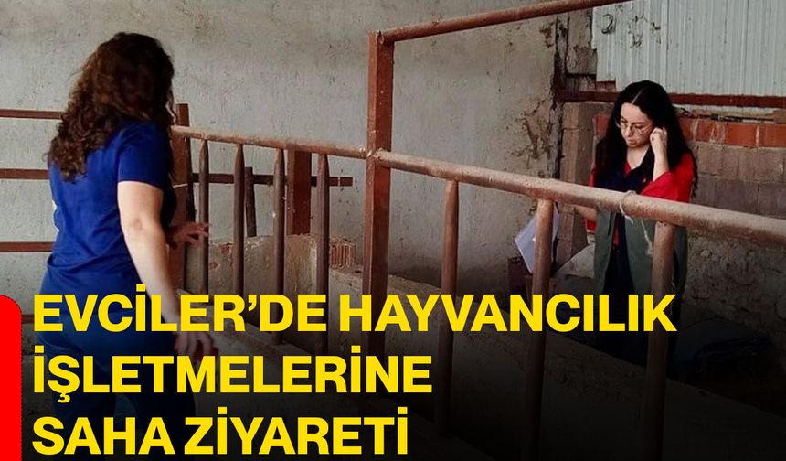 Evciler’de hayvancılık işletmelerine saha ziyareti