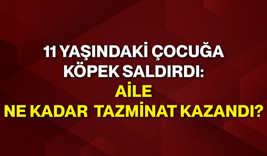 11 yaşındaki çocuğa köpek saldırdı: Aile ne kadar tazminat kazandı?