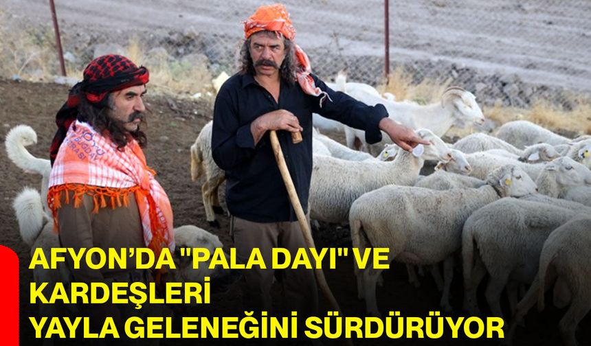 Afyon’da "Pala Dayı" ve kardeşleri yayla geleneğini sürdürüyor
