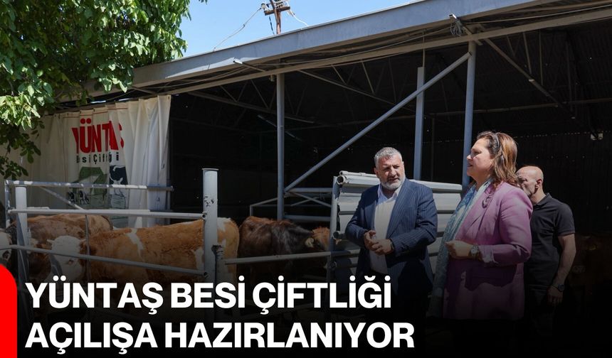 YÜNTAŞ Besi Çiftliği Açılışa Hazırlanıyor